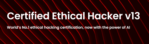 Ethical-hacking-courses-online-Best-ethical-hacker-certification-10-07-2024_04_10_PM.png