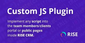 Custom JS plugin for RISE CRM.jpg