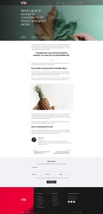 Vio-Blog-Post-Page.jpg