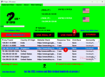 ipviper-lite-use-fake-IP-screenshot.png
