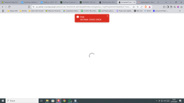 1747044569663.png