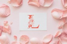 Rose-Beauty-Monogram-Fonts-54058425-8-580x387.jpg