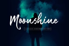 Moonshine-by-Youngtype-580x385.jpg