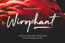 Wirophant-Fonts-82954305-1-1-580x386.jpg