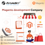 Best E-commerce services by Magento development Company in india.png