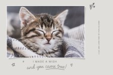 Lilac-and-Linen-Fonts-97306294-7-580x387.jpg