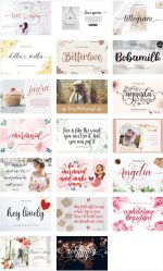 Screenshot 2026-02-19 at 12.21.58.JPG