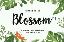 The-Blossom-Font.jpg