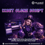 1xbet-clone-script-24-04-2026.png