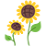 sunflower88000