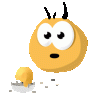 apaixtos3