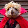 RuddorRaddy