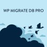 WP Migrate DB Pro