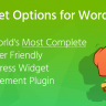 Widget Options - Extended