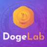 DogeLab - Cloud DogeCoin Mining Platform ViserLab