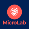 MicroLab - Micro Job Freelancing Platform by ViserLab