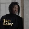 Sam Bailey - Personal CV/Resume WordPress Theme