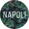 Napoli Photography WordPress