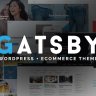 Gatsby - WordPress + eCommerce Theme