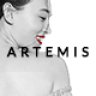 Artemis | Multi-purpose WooCommerce WordPress Theme