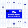 Workout Muscle Anatomies Pack For Premiere Pro - 48592915